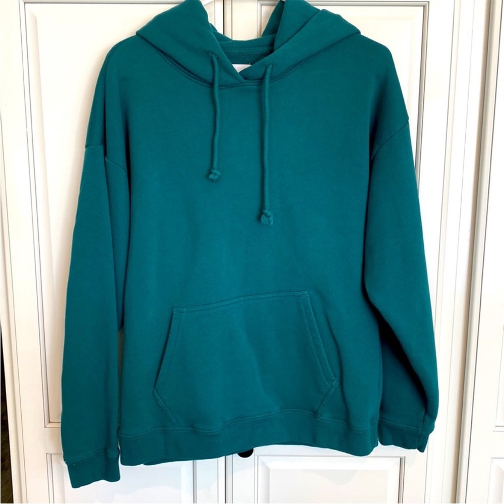 Aritzia TNA ravine hoodie